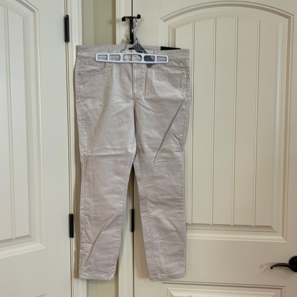 Ann Taylor Velvet Skinny Jeans Ivory 12P